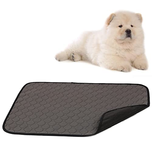 GREENADSCAPE Trainingsunterlage Hundematte Waschbare Haustier-PIPI-Pads Wiederverwendbar Für Katzen Hunde Grau Größe S GREENADSCAPE Trainingsunterlage Hundematte Waschbare Haustier-PIPI-Pads Wiederverwendbar Für Katzen Hunde Grau Größe S von GREENADSCAPE