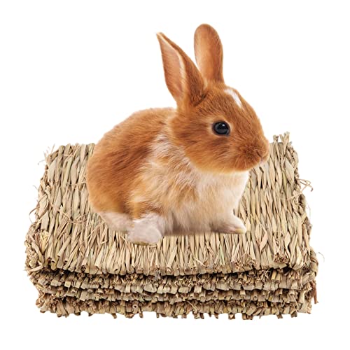 GREENKING Gewebte Bettmatte für Kaninchen 4PCS von GREENKING