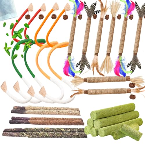 GREMBEB Katzenminze Spielzeug für Katzen, Katzenminze, Katzenminze Spielzeug mit Katzenminze und Silberrebe für den Innenbereich, Holzseil zum Kauen, Katzenminze Stick zum Reinigen der Zähne, 24 Stück von GREMBEB