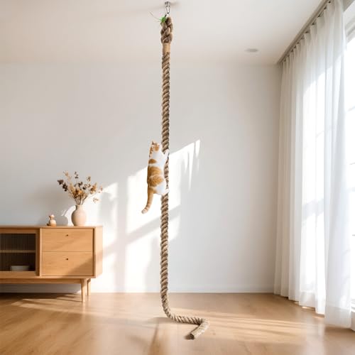 5,1 cm x 2,8 m Katzenkletter-Juteseil für Decke, Wandmontage, Katzendecke, Kratzbaum, stabil mit Haken und Feder, für Innen- und Außen-Katzen 5,1 cm x 2,8 m Katzenkletter-Juteseil für Decke, Wandmontage, Katzendecke, Kratzbaum, stabil mit Haken und Feder, für Innen- und Außen-Katzen von GRETJOB