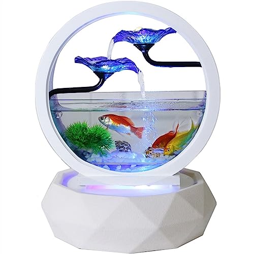 Aquarium Aquarium rund, schönes transparentes Glas, Goldfischbecken, Wohnzimmer, klein, ökologisch, for den Schreibtisch, Aquascape, Heimaquarium, Dekoration Fischschalen für Goldfische von GRFIT