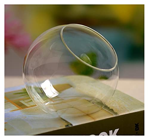 Fisch Tank Europäischer Stil kreativer exquisiter und ästhetischer abgeschrägter Glas Mini-Fischtank Runde Vase Mode Dekoration Handwerk Fischschale (Color : White, Size : Diameter 8cm) von GRFIT