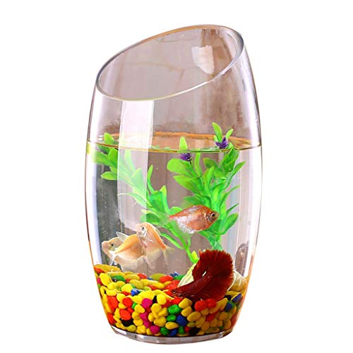 Fisch Tank Persönlichkeit Kreative Transparente Glas Aquarium Aquarium Hydrokultur Pflanze Goldfisch Tank Fischschale (Size : M) von GRFIT