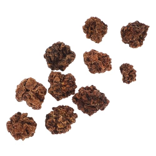 GRIRIW 10stücke Kauball Aus Silvervine Für Katzen Kauspielzeug Für Haustiere Beißball Zum Knabbern Und Spielen Natürliche Materialien Fördert Appetit Und Schützt Möbel von GRIRIW