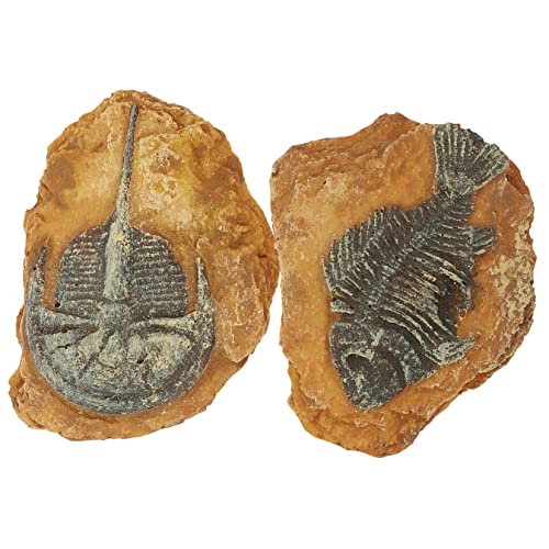 GRIRIW 2Er-Box simuliertes Harzfossil versteinert Dekorationen Reptile Decor Snake Box Ornaments Creative Reptile Box Decors Landschaft für kleines Haustier Reptiliendekore für Wohnkultur von GRIRIW