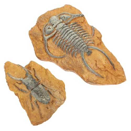 GRIRIW 2er-Box Simuliertes Harzfossil Terrarium Reptil Dekorationen Terrariendekore Für Wohnkultur Dekore Für Terrarien Mit Schlangen Eidechsenlandschaft Gecko-Landschaft von GRIRIW