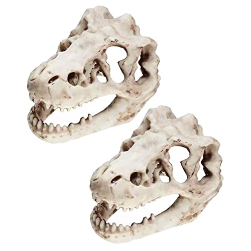 GRIRIW 2stücke Dinosaurier Schädel Versteck Für Aquarium Resin Ornament Für Fisch Und Garnelen Für Aquarienlandschaft Und Dekoration Und Langlebig Unbedenklich Für Wasserqualität GRIRIW 2stücke Dinosaurier Schädel Versteck Für Aquarium Resin Ornament Für Fisch Und Garnelen Für Aquarienlandschaft Und Dekoration Und Langlebig Unbedenklich Für Wasserqualität von GRIRIW