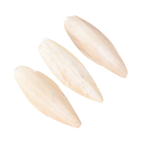 GRIRIW Pet Bite Sepiaschale Spielzeug 3 Stück Vogel Sepiaschale Kauspielzeug Molar Sicher für Papageien Hamster Schildkröten Lustiges Trainingsspielzeug GRIRIW Pet Bite Sepiaschale Spielzeug 3 Stück Vogel Sepiaschale Kauspielzeug Molar Sicher für Papageien Hamster Schildkröten Lustiges Trainingsspielzeug von GRIRIW