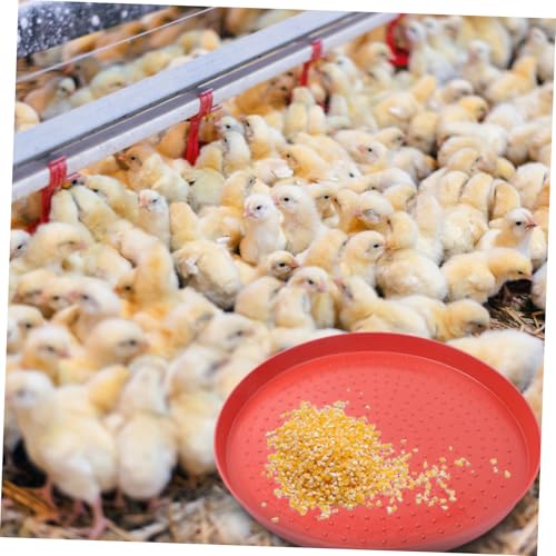 GRIRIW 3 Stück Teiliges Geflügel futtertablett aus Robustem Kunststoff Wiederverwendbar und Leicht zu Reinigen Geeignet für Hühner Enten Gänse und Tauben Praktische Futterschale für GRIRIW 3 Stück Teiliges Geflügel futtertablett aus Robustem Kunststoff Wiederverwendbar und Leicht zu Reinigen Geeignet für Hühner Enten Gänse und Tauben Praktische Futterschale für von GRIRIW