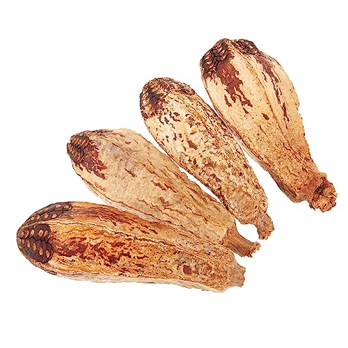 GRIRIW 4stücke Futtersuchspielzeug Für Papageien Naturmaterialien Vogel-kauspielzeug Spielzeug Für Kleine Vögel Papageienspielzeug Papageienzubehör Zerkleinerungsspielzeug Kauspielzeug Fü von GRIRIW
