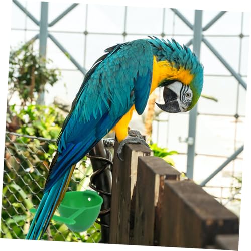 GRIRIW 8 Stück Teiliges Vogelkäfig Futter Wassernäpfe für Papageien Praktische Hängende Futterschalen aus Robustem Material Langlebig und Hygienisch für Kleine Vögel und Wellensittiche GRIRIW 8 Stück Teiliges Vogelkäfig Futter Wassernäpfe für Papageien Praktische Hängende Futterschalen aus Robustem Material Langlebig und Hygienisch für Kleine Vögel und Wellensittiche von GRIRIW