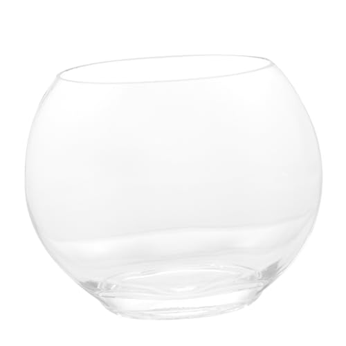 GRIRIW Aquarium Vase Schaukasten Aus Stein Landschaftsbastelflasche Landschaftsflaschen Selber Machen Transparente Mikrolandschaftsflasche Speicherbecken Pflanze Glas von GRIRIW
