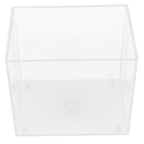 GRIRIW Bepflanztes Aquarium Fischtank Fischtank Rechteckig Fischtank Pumpe Und Fischtanks Seidenaquarienpflanzen Würfeltanks Fischernetzdekor Kleines Fischtank Randloses GRIRIW Bepflanztes Aquarium Fischtank Fischtank Rechteckig Fischtank Pumpe Und Fischtanks Seidenaquarienpflanzen Würfeltanks Fischernetzdekor Kleines Fischtank Randloses von GRIRIW