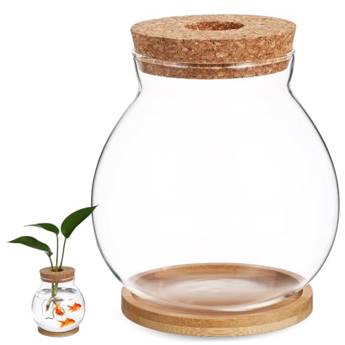 GRIRIW Fischbecken aus Glas buchregal Dekoration bürodeko Tischdekoration glasgefäß mittelgroßer Aquariumdeckel Stift blumenbank Bambusmatte Glasterrarien für Pflanzen Betta-Fischschale von GRIRIW