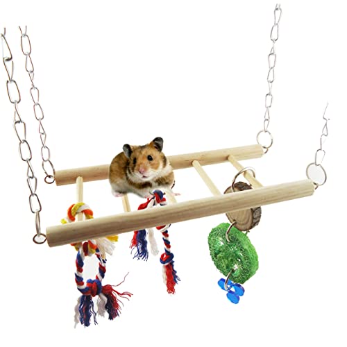 GRIRIW Hamster Kletterspielplatz Mit Schaukel Und Brücke Kleintier Kletterleiter Für Hamster Mäuse Ratten Und Andere Nager Zufällige von GRIRIW