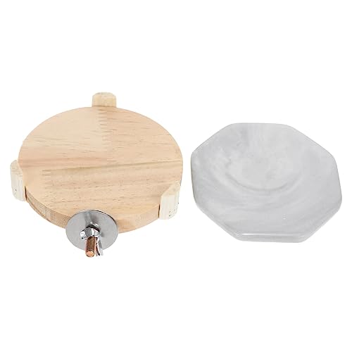 GRIRIW Hamsterkühlung Spinnennetz Halloween Dekorationsbündel Trendiger Dekorhalter Frettchen Innendekoration Reißverschluss Kuschelfee Sämaschinenset Hängende Tulpe GRIRIW Hamsterkühlung Spinnennetz Halloween Dekorationsbündel Trendiger Dekorhalter Frettchen Innendekoration Reißverschluss Kuschelfee Sämaschinenset Hängende Tulpe von GRIRIW