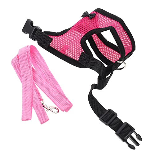GRIRIW Hühner Trainingsgeschirr Mit Für Haustier-hühner Nylonmaterial Robust Und Langlebig Geeignet Für Outdoor-aktivitäten von GRIRIW