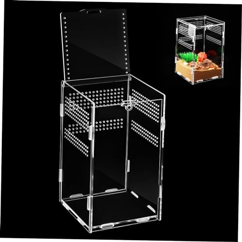GRIRIW Kasten Fütterungsbox Schlange Bausatz Gecko Aquarium Reptil vitrinenschränke insektenbox Spinnenbehälter Insekten Box Sprungspinnengehege klare Behälter zum Füttern Acryl von GRIRIW