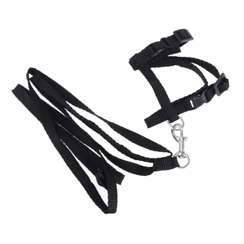 GRIRIW Katzengeschirr Mit Leine Verstellbares Nylon Für Haustier Für Kätzchen Und Kleine Sicher Und Bequem Pack von GRIRIW