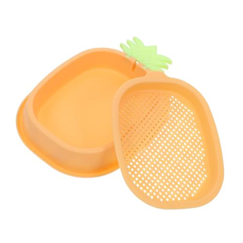 GRIRIW Hydroponischer Katzengras-pflanztopf Mehrschichtiges Design Erdloser Topf Haustiergras-anbaukasten Pflanzset von GRIRIW
