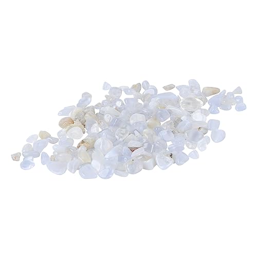 GRIRIW Kies Blumentopfdekorationen Felsen für weißes Aquarium Lithopspflanzen Steine für Pflanzen Aquariensteine Anlage Erbse Pflanzenbehälter Dekorative Flusssteine Aquarium Dekoration GRIRIW Kies Blumentopfdekorationen Felsen für weißes Aquarium Lithopspflanzen Steine für Pflanzen Aquariensteine Anlage Erbse Pflanzenbehälter Dekorative Flusssteine Aquarium Dekoration von GRIRIW