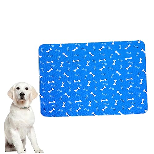 GRIRIW Pads Für Haustiere Kugelhalter Aufkleber-Stift Stoßdämpfende Einlegesohlen Automatisch Haustier Eltern Waschbare Hundewindel Rotes Boxpolster Leerer Bausatz Ferseneinlagen Abs Blue GRIRIW Pads Für Haustiere Kugelhalter Aufkleber-Stift Stoßdämpfende Einlegesohlen Automatisch Haustier Eltern Waschbare Hundewindel Rotes Boxpolster Leerer Bausatz Ferseneinlagen Abs Blue von GRIRIW