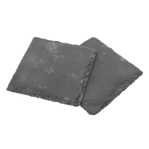 GRIRIW 2pcs Natürliche Aalen Für Schildkröte Aquarium Lebensmittel Bord Reptil Stein Pad von GRIRIW