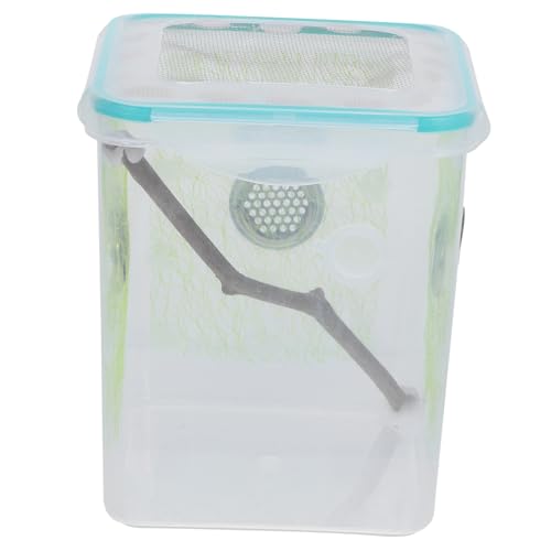 GRIRIW Reptilienzuchtbox Transparent Fütterungsbox für Mantiden und Insekten Kunststoffterrarium mit Belüftungslöchern für Beobachtung und Zucht Portable für Zuhause und Büro von GRIRIW