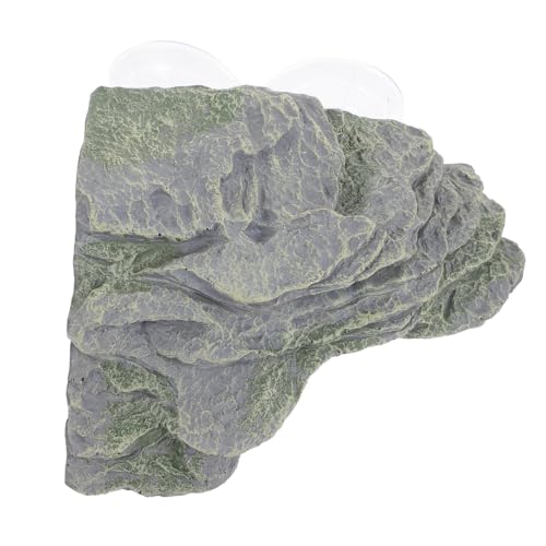 GRIRIW Schildkrötenbecken-kletterrampe, Schildkrötenplattform, Schildkröten-aalplattform, Ruheterrasse GRIRIW Schildkrötenbecken-kletterrampe, Schildkrötenplattform, Schildkröten-aalplattform, Ruheterrasse von GRIRIW