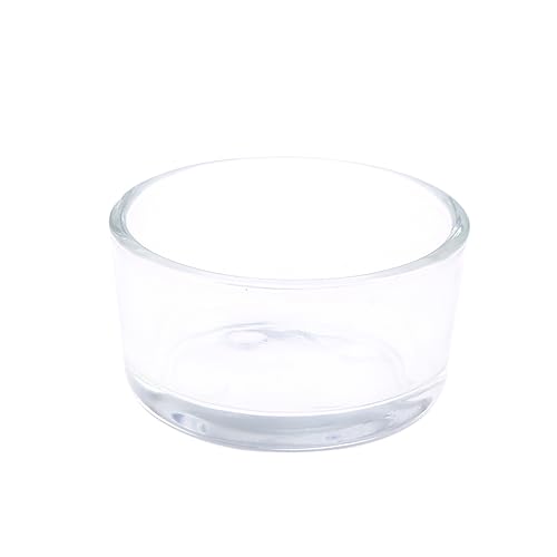 GRIRIW Transparente Reptilien Futterschale Kleine Futter und Wasserschale für Reptilien Fische und Garnelen Dekorativ und Vielseitig Einsetzbar von GRIRIW
