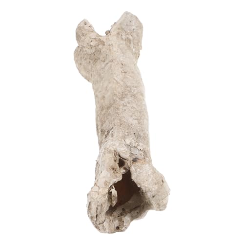 GRIRIW Resin Reptile Hide Cave Knochendesign Für Terrarium Langlebig Und Leicht Für Reptilien Wie Eidechsen Und Schlangen Schafft Dunkle Verstecke Und Dekorative Akzente von GRIRIW