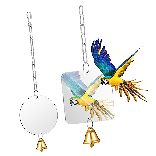 GRIRIW 2stücke Vogel Spiegelspielzeug Mit Glocken Für Käfig Geeignet Für Papageien Nymphensittiche Und Kleine Vögel Einfache Installation Stabil Und Dekorativ GRIRIW 2stücke Vogel Spiegelspielzeug Mit Glocken Für Käfig Geeignet Für Papageien Nymphensittiche Und Kleine Vögel Einfache Installation Stabil Und Dekorativ von GRIRIW