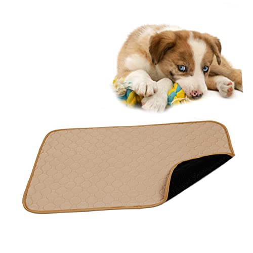 GRIRIW Waschbare Haustier Pad Für Hunde Und Katzen Wasserfeste Und Wiederverwendbare Welpenunterlage Größe S Beige Ideal Für Das Training Und Die Hygiene Ihres Haustieres GRIRIW Waschbare Haustier Pad Für Hunde Und Katzen Wasserfeste Und Wiederverwendbare Welpenunterlage Größe S Beige Ideal Für Das Training Und Die Hygiene Ihres Haustieres von GRIRIW