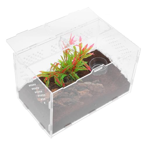 GRIRIW transparentes Terrarium klares Reptiliengehege Schildkrötenkäfige Reptilienterrarium Aquarium klein gehäuse Spinnengehege Terrarium für Reptilien Reptilienterrarien Acryl von GRIRIW