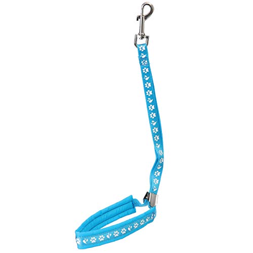 GROOM PROFESSIONAL Audie Halteschlaufe mit Gleitverschluss aus Metall - Pfotenmotiv - Polsterung um den Hals für mehr Komfort mit Verschließbarem Metallschieber - 42cm, Cyanblau GROOM PROFESSIONAL Audie Halteschlaufe mit Gleitverschluss aus Metall - Pfotenmotiv - Polsterung um den Hals für mehr Komfort mit Verschließbarem Metallschieber - 42cm, Cyanblau von GROOM PROFESSIONAL