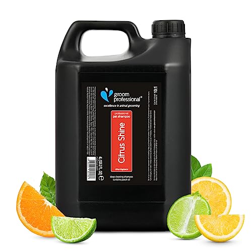 GROOM PROFESSIONAL Citrus Shine Hundeshampoo - Hundeshampoo Gegen Geruch - Tiefenreinigendes Shampoo für Hunde mit Fettigem Fell - Enthält Pfirsichöl - Frischer Zitrusduft, 4 Liter GROOM PROFESSIONAL Citrus Shine Hundeshampoo - Hundeshampoo Gegen Geruch - Tiefenreinigendes Shampoo für Hunde mit Fettigem Fell - Enthält Pfirsichöl - Frischer Zitrusduft, 4 Liter von GROOM PROFESSIONAL