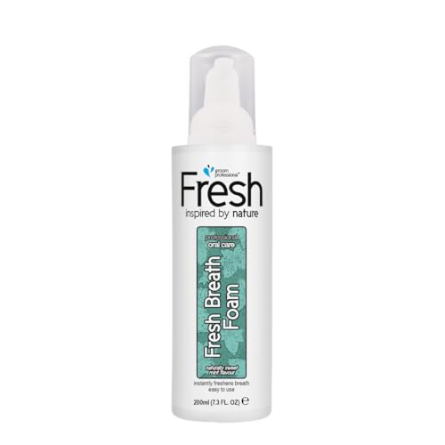 GROOM PROFESSIONAL Fresh Fresh Breath Schaum - Zahnpflege für Hunde - Mundpflege - Erfrischt den Atem und hält Zähne & Zahnfleisch gesund - Verhindert die Bildung von Plaque & Zahnstein, 200ml GROOM PROFESSIONAL Fresh Fresh Breath Schaum - Zahnpflege für Hunde - Mundpflege - Erfrischt den Atem und hält Zähne & Zahnfleisch gesund - Verhindert die Bildung von Plaque & Zahnstein, 200ml von GROOM PROFESSIONAL