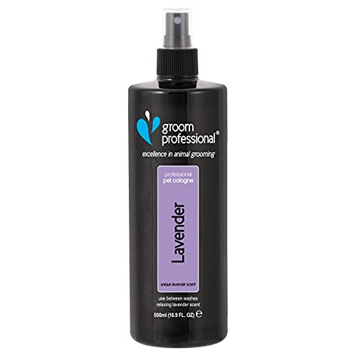 GROOM PROFESSIONAL Lavender Hundeparfüm - Hundeparfüm-Spray - Frisches Duftspray für Hunde Gegen Geruch - Entspannender Lavendelduft - Perfekt für Zwischen den Waschgängen, 500ml GROOM PROFESSIONAL Lavender Hundeparfüm - Hundeparfüm-Spray - Frisches Duftspray für Hunde Gegen Geruch - Entspannender Lavendelduft - Perfekt für Zwischen den Waschgängen, 500ml von GROOM PROFESSIONAL