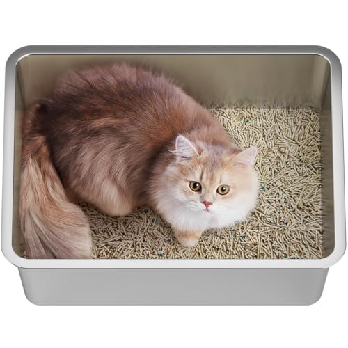 GRWO Katzentoilette aus Edelstahl, Katzentoilette, Katzentoilette, Metall-Katzentoilette für Katzen bis zu 5 kg, antihaftbeschichtet, leicht zu reinigen, 45 x 34 x 15 cm, 1,2 kg GRWO Katzentoilette aus Edelstahl, Katzentoilette, Katzentoilette, Metall-Katzentoilette für Katzen bis zu 5 kg, antihaftbeschichtet, leicht zu reinigen, 45 x 34 x 15 cm, 1,2 kg von GRWO