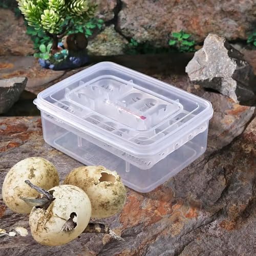 Inkubator Reptilien 16 Grids Reptilien Ei Inkubator Tablett Eidechse Schlange Eier Hatcher Kunststoff Fall Box Brutautomat von GSCLZ