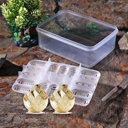 Inkubator Reptilien Eier-Inkubator-Box Hatcher Case for Reptilien Eidechsen Schlange Zucht Werkzeuge 16 Grids Brutautomat von GSCLZ