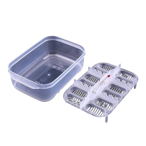 Inkubator Reptilien Reptilien Eier Hatcher Box Inkubator Tablett for Eidechse Schlange Zucht Werkzeug 12 Grids Brutautomat Inkubator Reptilien Reptilien Eier Hatcher Box Inkubator Tablett for Eidechse Schlange Zucht Werkzeug 12 Grids Brutautomat von GSCLZ