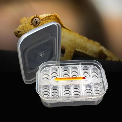 Inkubator Reptilien Reptilien-Zuchtbox, Inkubator, Hänge-Brutkasten, Werkzeug, DIY-Behälter for Schlüpfen, Inkubation, Zuchtbedarf, Schildkröten, Gecko Brutautomat von GSCLZ