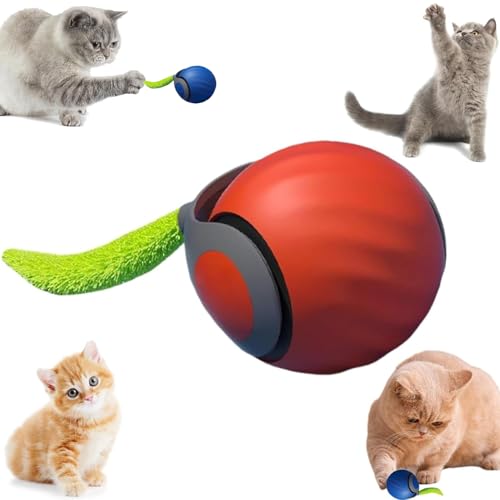 Speedy Tail 2.0, Speedy Tail Katzenspielzeug, interaktives Katzenspielzeug, interaktives Katzenspielzeug für Indoor-Katzen, intelligenter interaktiver Katzenspielzeugball, automatisch beweglicher Speedy Tail 2.0, Speedy Tail Katzenspielzeug, interaktives Katzenspielzeug, interaktives Katzenspielzeug für Indoor-Katzen, intelligenter interaktiver Katzenspielzeugball, automatisch beweglicher von GSHLGAO