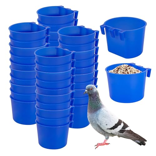 40 Stück Käfigbecher, Vogelfutterspender, zum Aufhängen, Wachtelbewässerung, Kunststoff, Hühnerfütterung, Bewässerungsschale für kleine Ställe, Papageien, Sittiche, Haustier, Geflügel, Tauben 40 Stück Käfigbecher, Vogelfutterspender, zum Aufhängen, Wachtelbewässerung, Kunststoff, Hühnerfütterung, Bewässerungsschale für kleine Ställe, Papageien, Sittiche, Haustier, Geflügel, Tauben von GSHYMXT