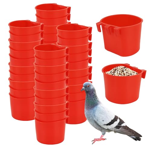 40 Stück Käfigbecher, Vogelfutterspender, zum Aufhängen, Wachtelbewässerung, Kunststoff, Hühnerfütterung, Bewässerungsschale für kleine Ställe, Papageien, Sittiche, Haustier, Geflügel, Tauben 40 Stück Käfigbecher, Vogelfutterspender, zum Aufhängen, Wachtelbewässerung, Kunststoff, Hühnerfütterung, Bewässerungsschale für kleine Ställe, Papageien, Sittiche, Haustier, Geflügel, Tauben von GSHYMXT