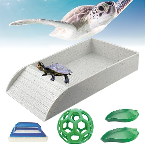 5-teiliges Schildkröten-Wasserschalen-Set, graue Schildkröten-Wasserschale mit Rampe und Schildkröten-Wasserschale, Schildkröten-Futterball, Scheuerbürste, Amphibien-Reptilien-Wassernapf, von GSYUWIH