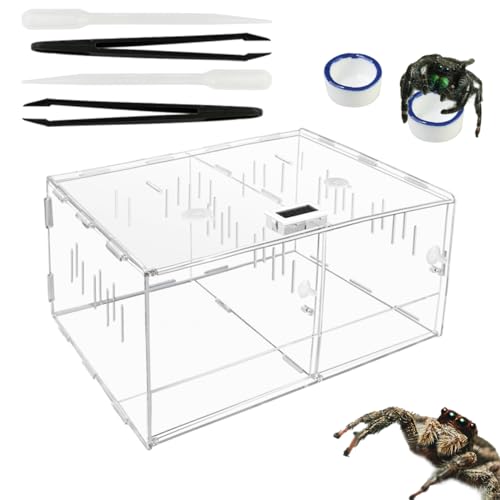 Springspinnengehege mit zwei Türen, 30,5 x 24 x 14,2 cm, springende Spinne, Lebensraum mit Thermo-Hygrometer, Tropffläche, transparentes Acryl-Spinnen-Terrarium für Schnecken, Grillen, Betende Mantis Springspinnengehege mit zwei Türen, 30,5 x 24 x 14,2 cm, springende Spinne, Lebensraum mit Thermo-Hygrometer, Tropffläche, transparentes Acryl-Spinnen-Terrarium für Schnecken, Grillen, Betende Mantis von GSYUWIH