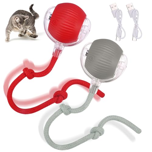 GSrenyu 2 Stücke Interaktives Katzenballspielzeug, Katzenspielzeug für Indoor-Katzen Erwachsene, Katzenspielzeug Interaktiv für Indoor-Katzen, Aktiver Rollball mit Schwanz für Katzen, 360° Smart von GSrenyu