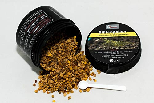 GT essentials Blütenpollen (Granulat), 40g von GT essentials